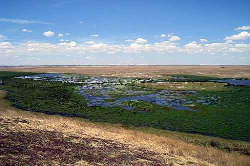 Kenia (221)